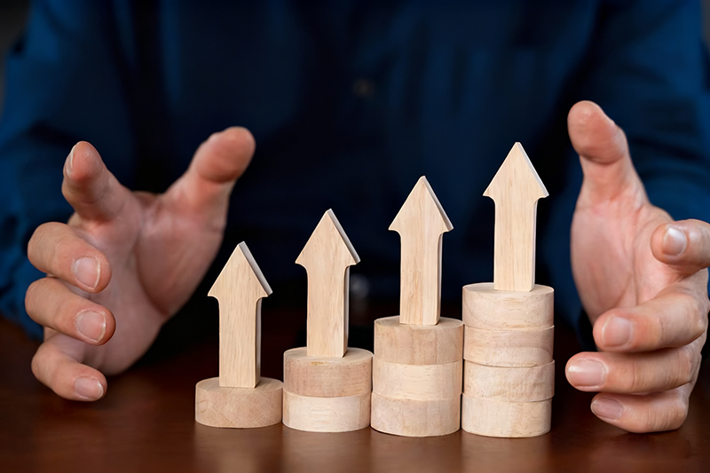 w-full h-full object-cover